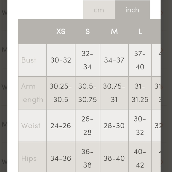 Icebreaker Merino Loft Puffy - Picture 7 of 9